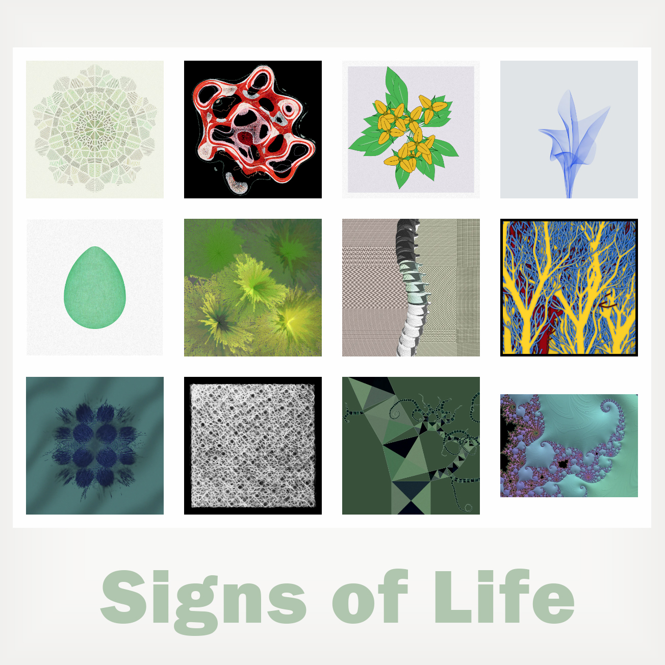 Twelve artworks selected for the #5TezCollection