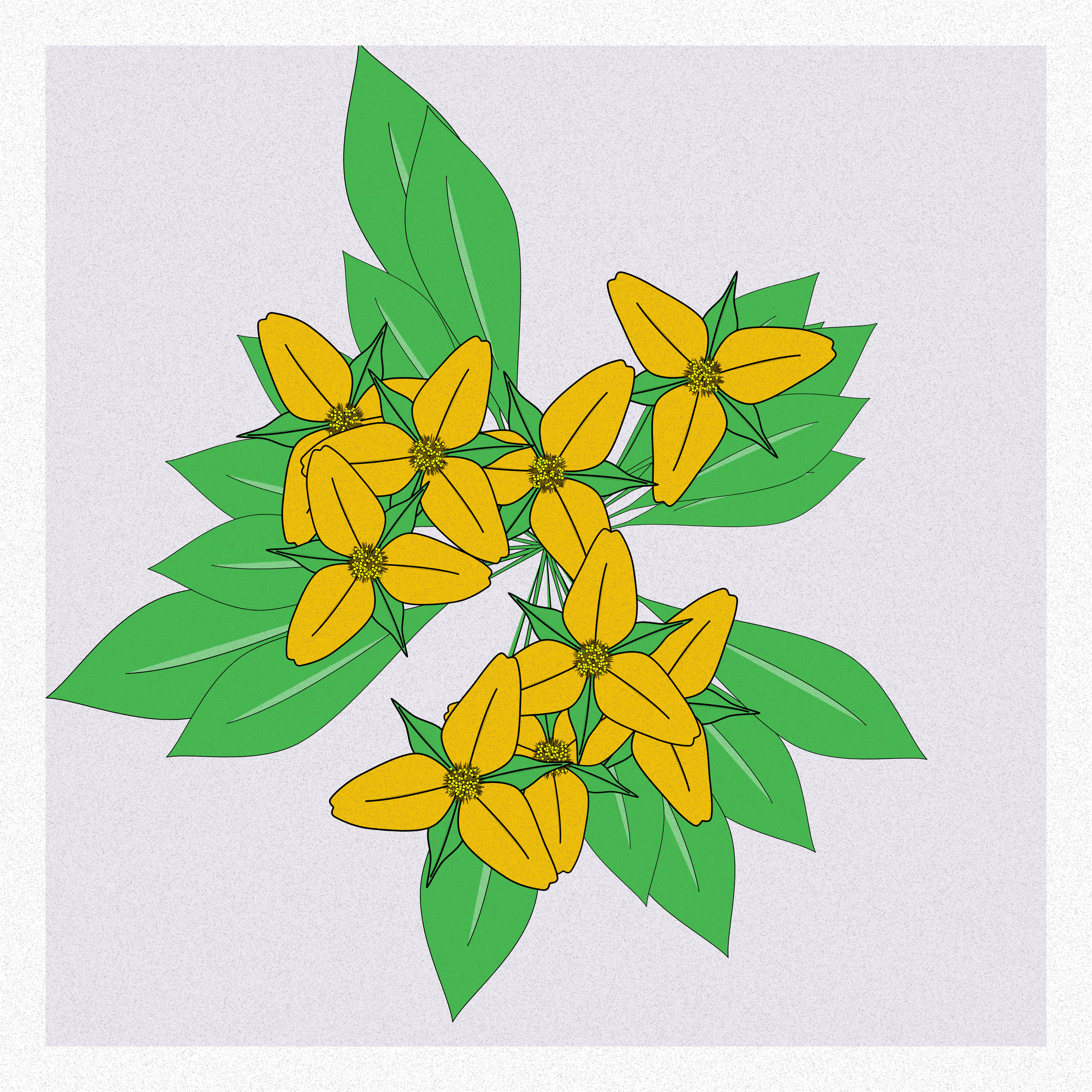 Flowers #210, 2022. Gray Team.