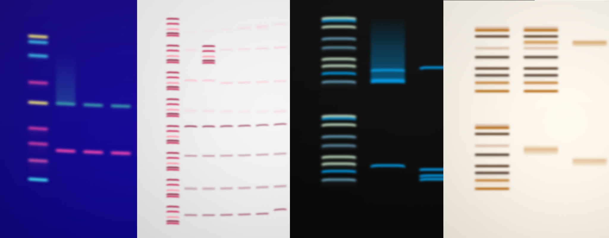 Collage of outputs #1 #16, #63 and #3 from "Gels" (from left to right)