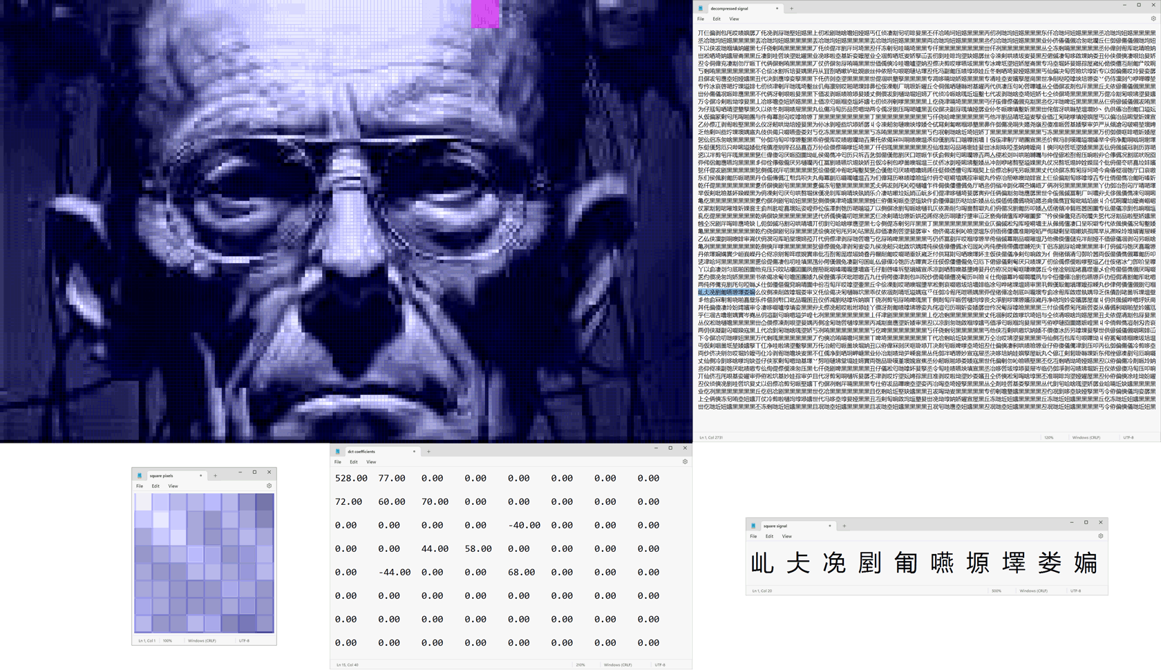 Image-to-signal serialization - DCT coefficients for each 8x8 square of pixels are stored as a signal string.