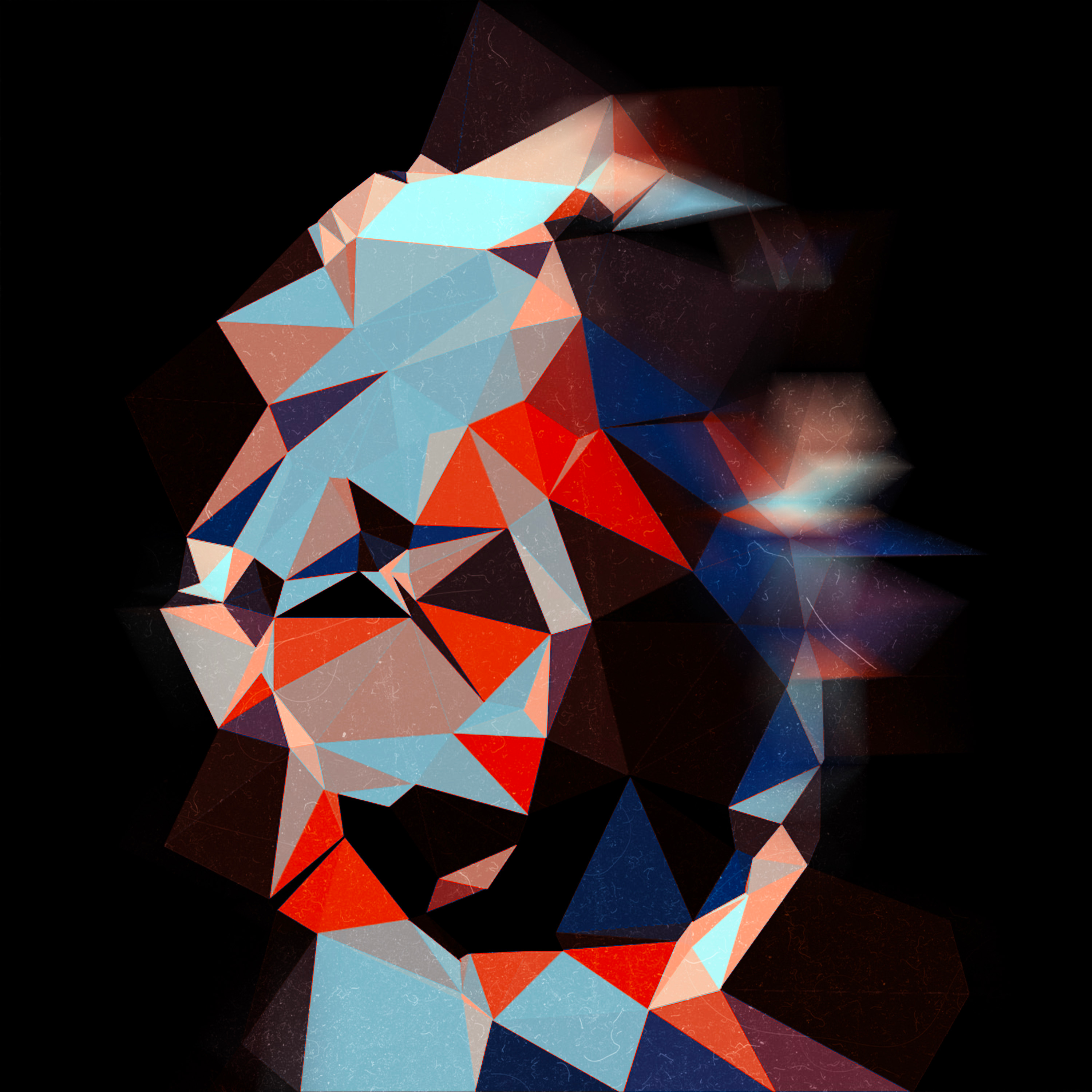 No.014 | From TNT Collection