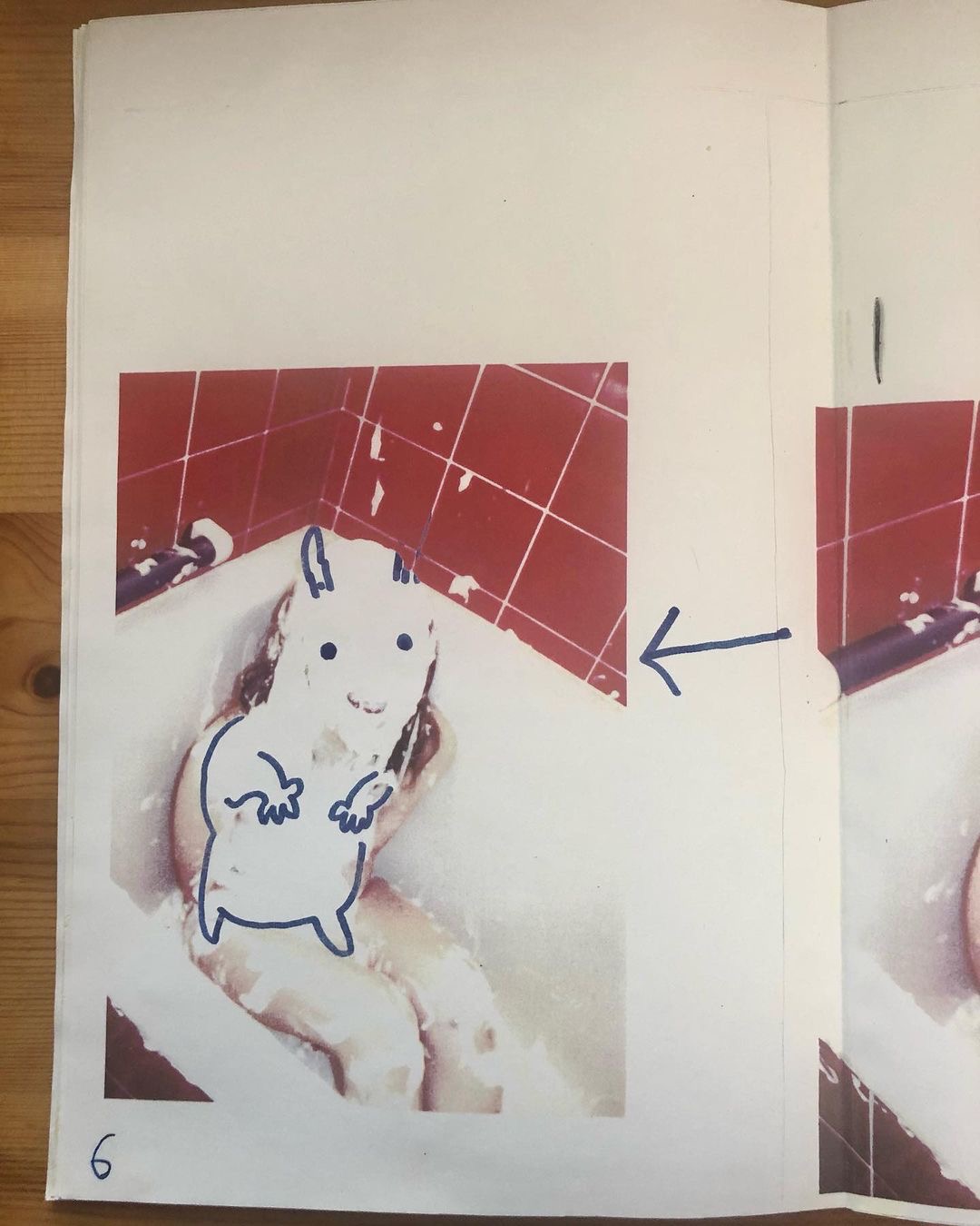 both images above from a zine by Chie Fukao