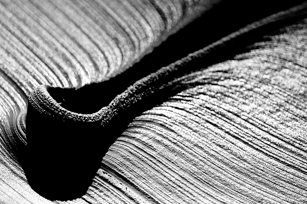 Surface of the Earth 2003 by Arts of Chet Photography