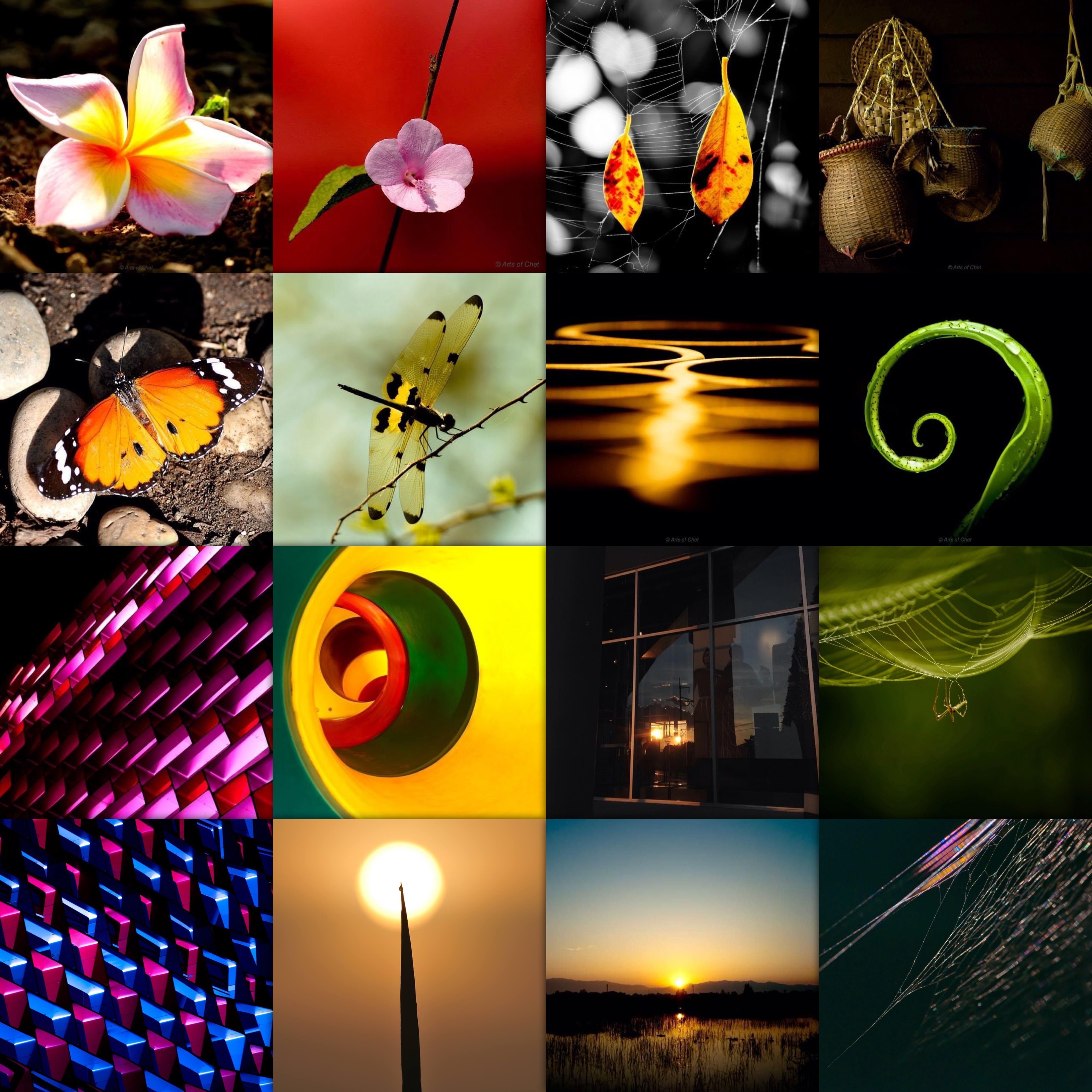 Arts of Chet Photography