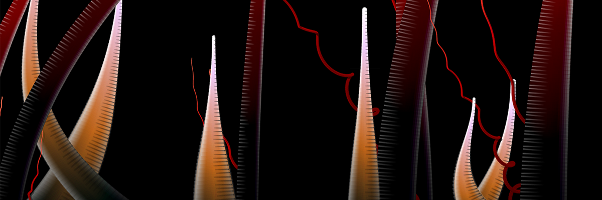Figure 5 ( A detail from Milena's Flowers )