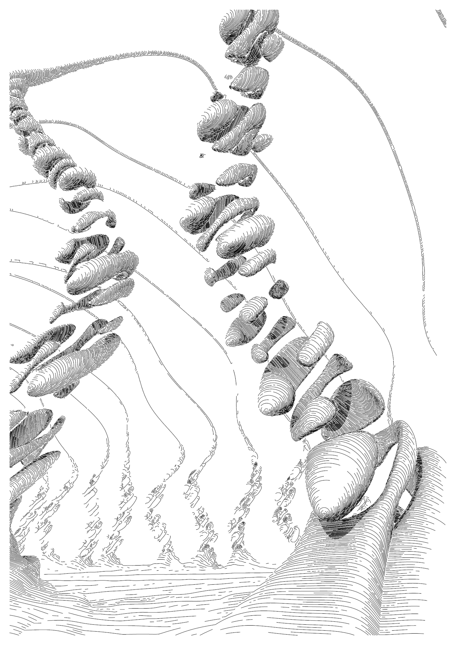 Hyperwillows (March 2022)