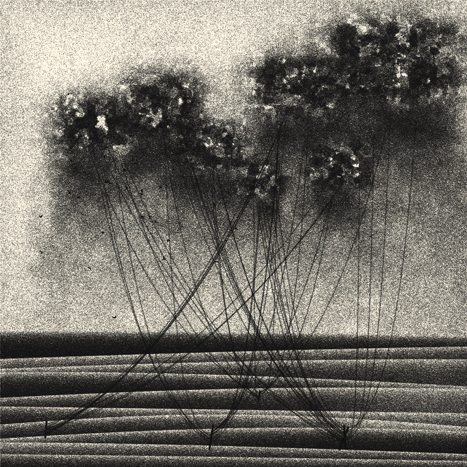 Cables and Clouds #250