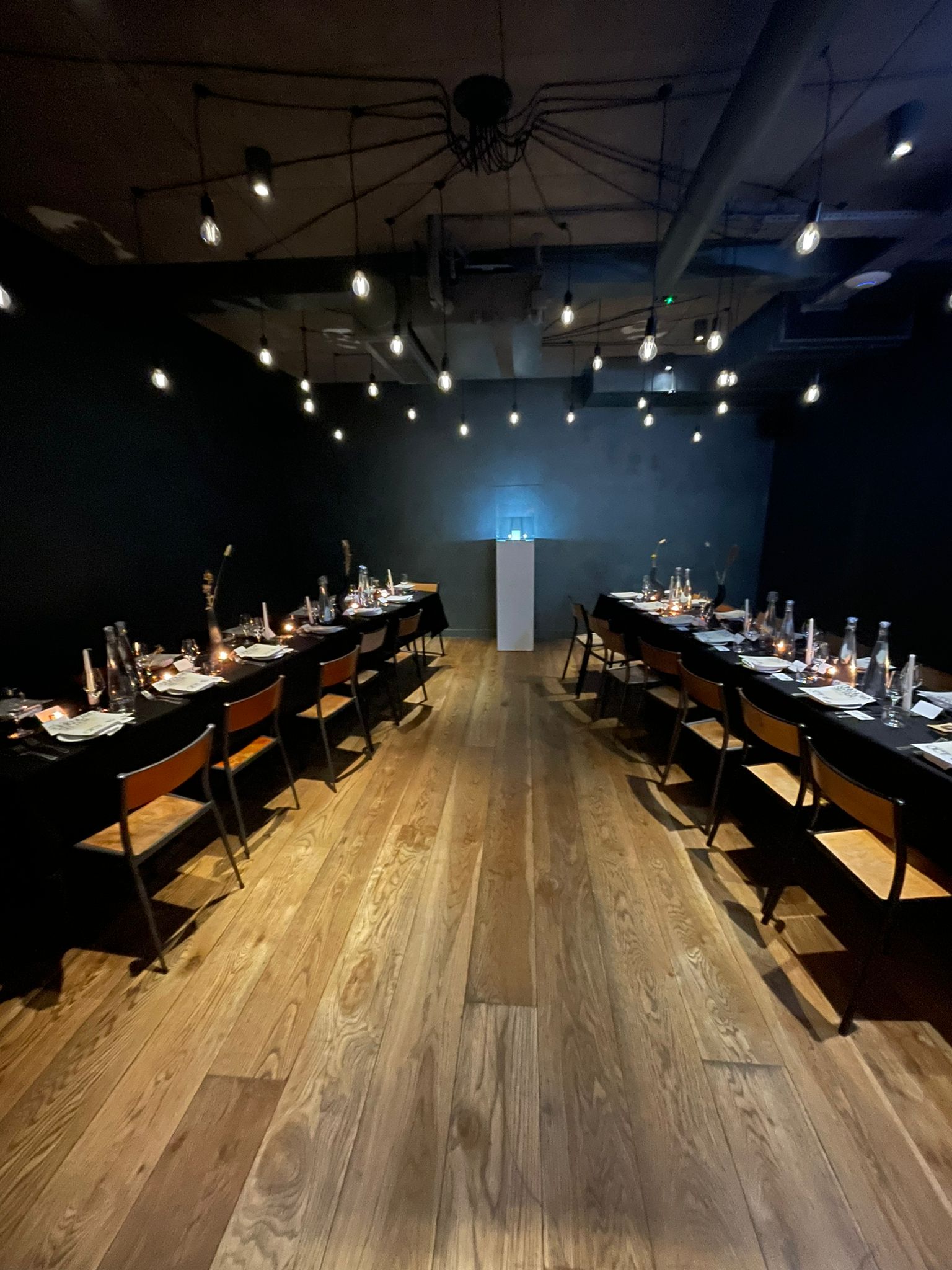 Unknown Sitter Dinner: Photo Credit, Lord Truffington