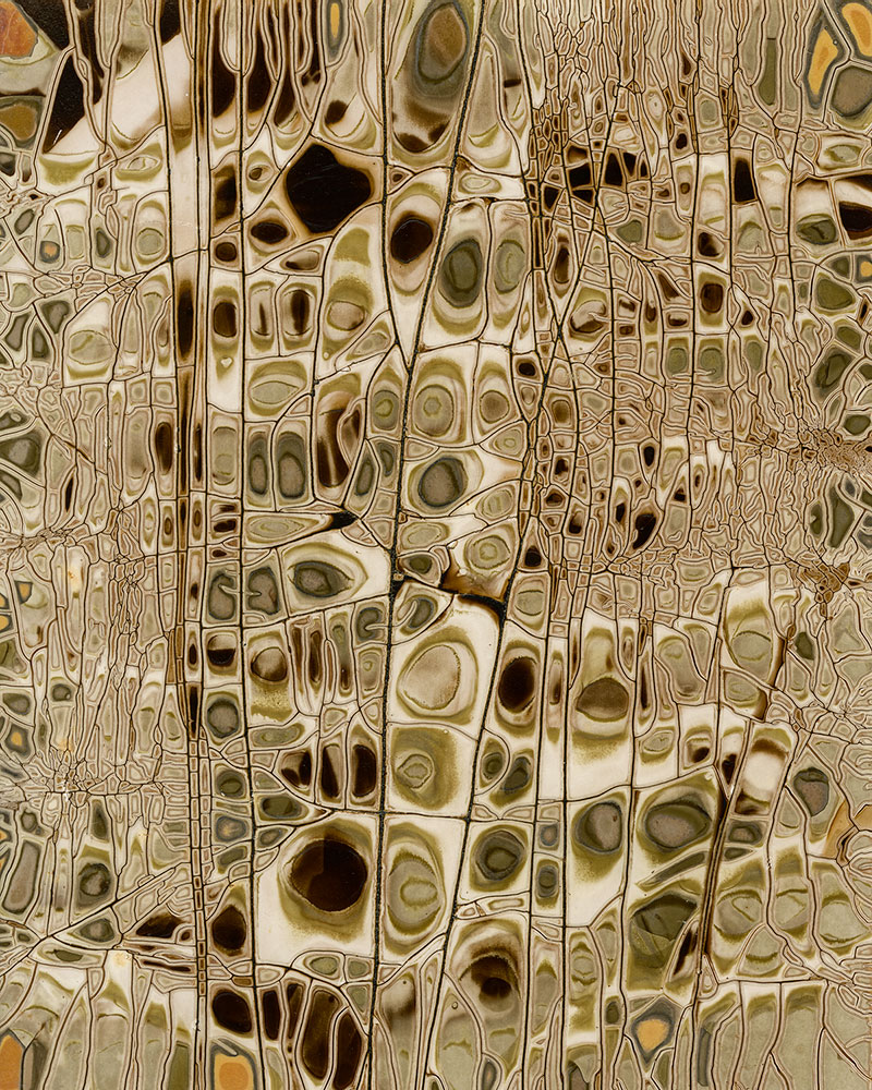 Chemigram by Wanda Oliver, lacquer resist on expired Chicago Albumen Works Printing Out Paper