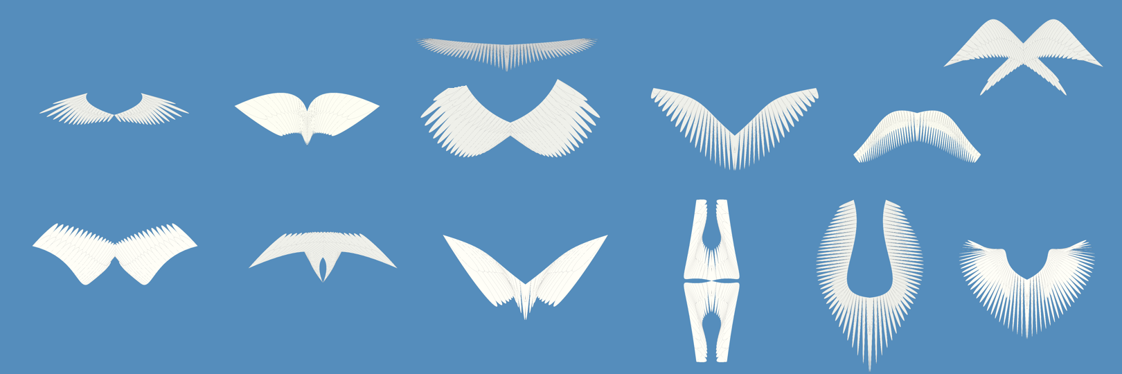 all 13 possible wing types