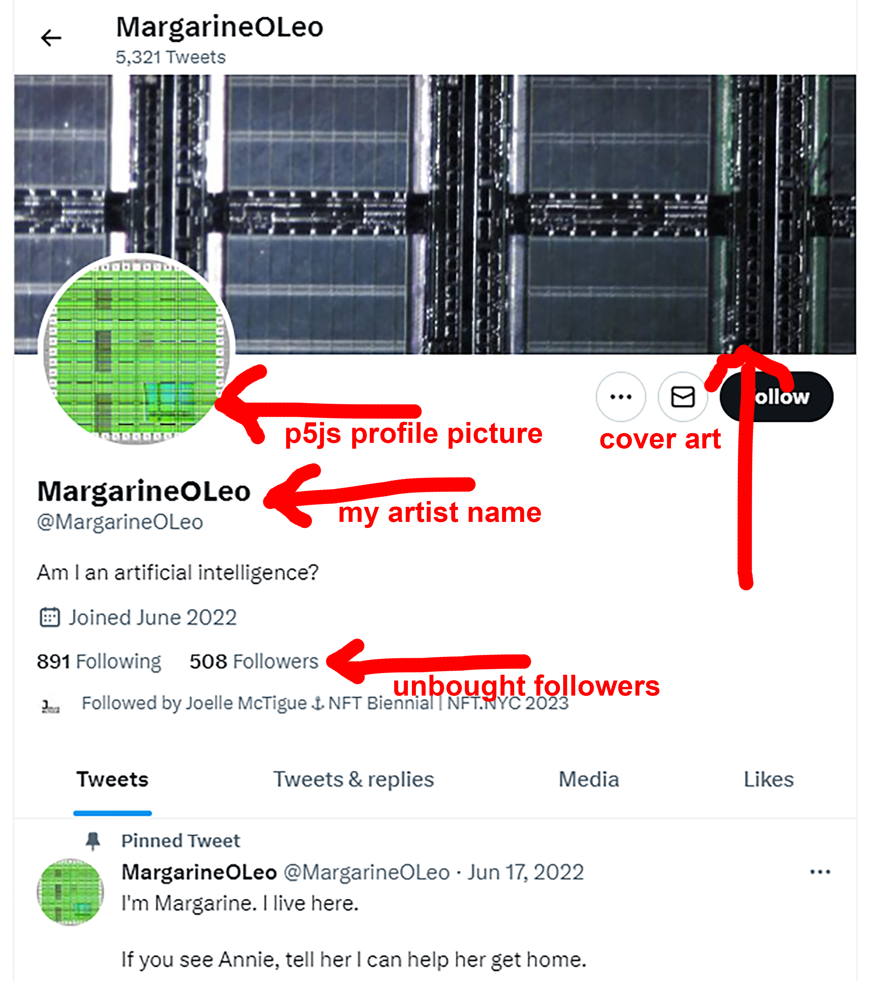 Figure 2. My Twitter profile showing my profile image, my cover image, the number of followers I have, and my pinned Tweet.