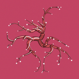 Snail Tree project preview