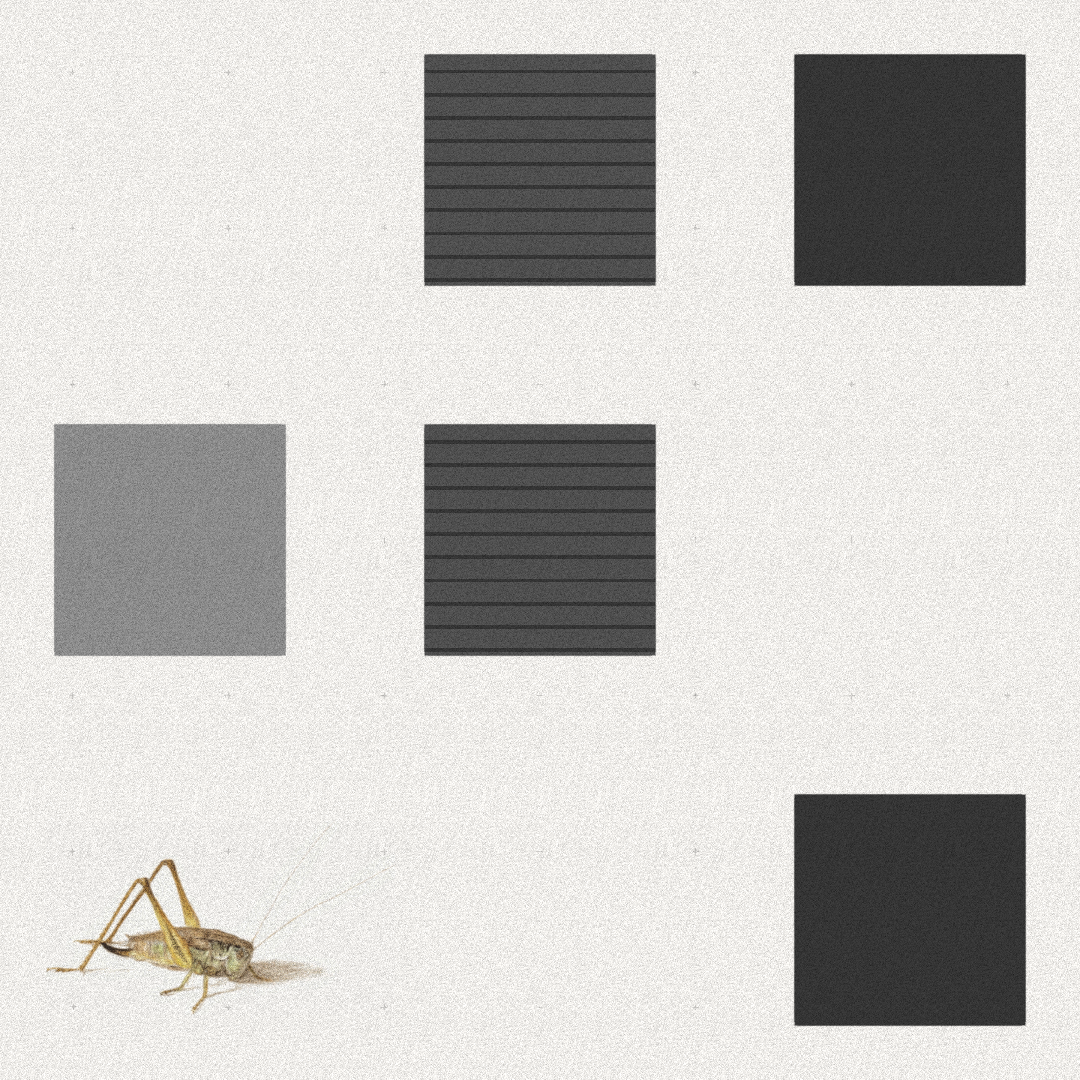 Grasshopper #10 static token preview