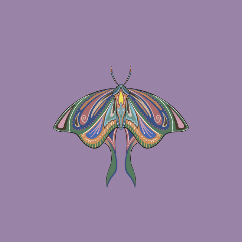 The Moth Experiment 2.0 P2 #16 static token preview