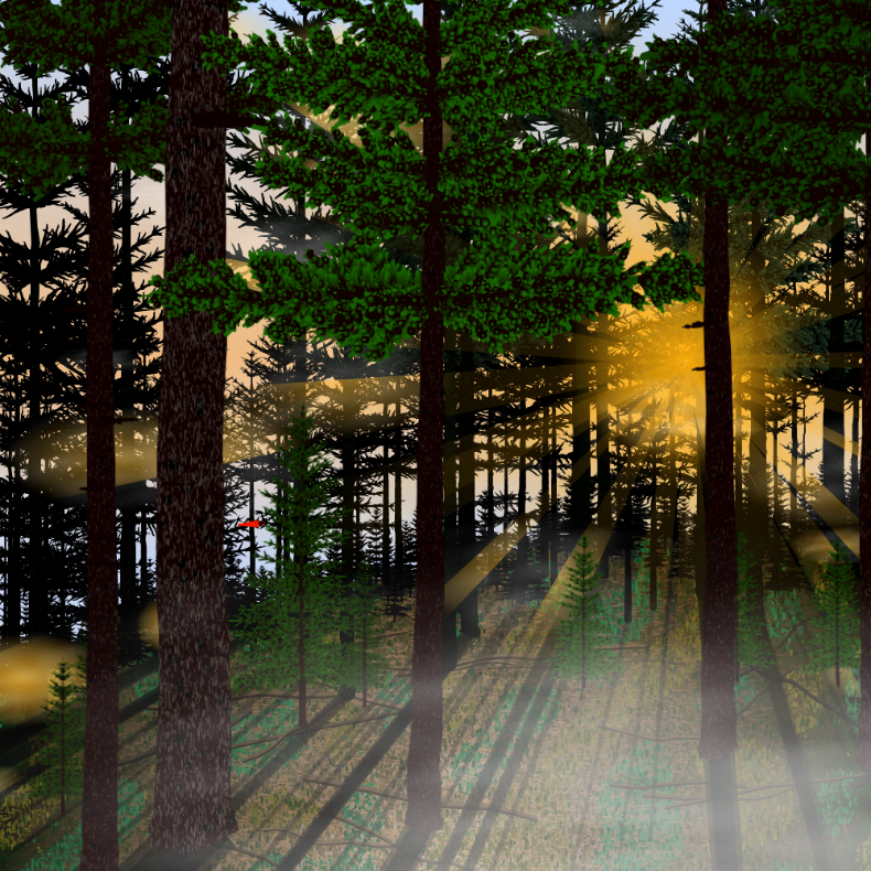 Forest Sunrise #2 static token preview