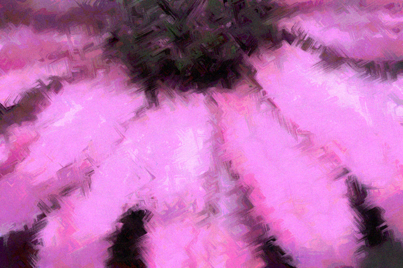 Floral Fusion #2 static token preview