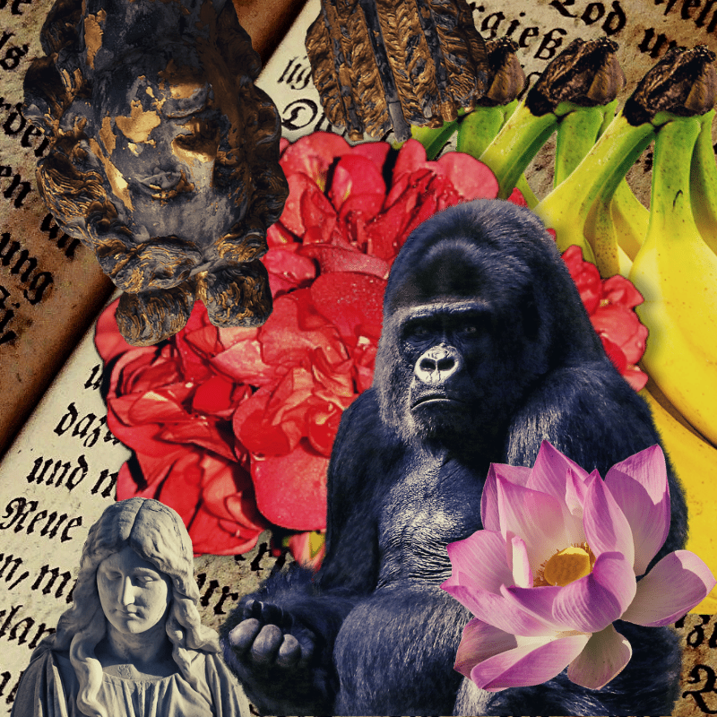 Banana flower #15 static token preview