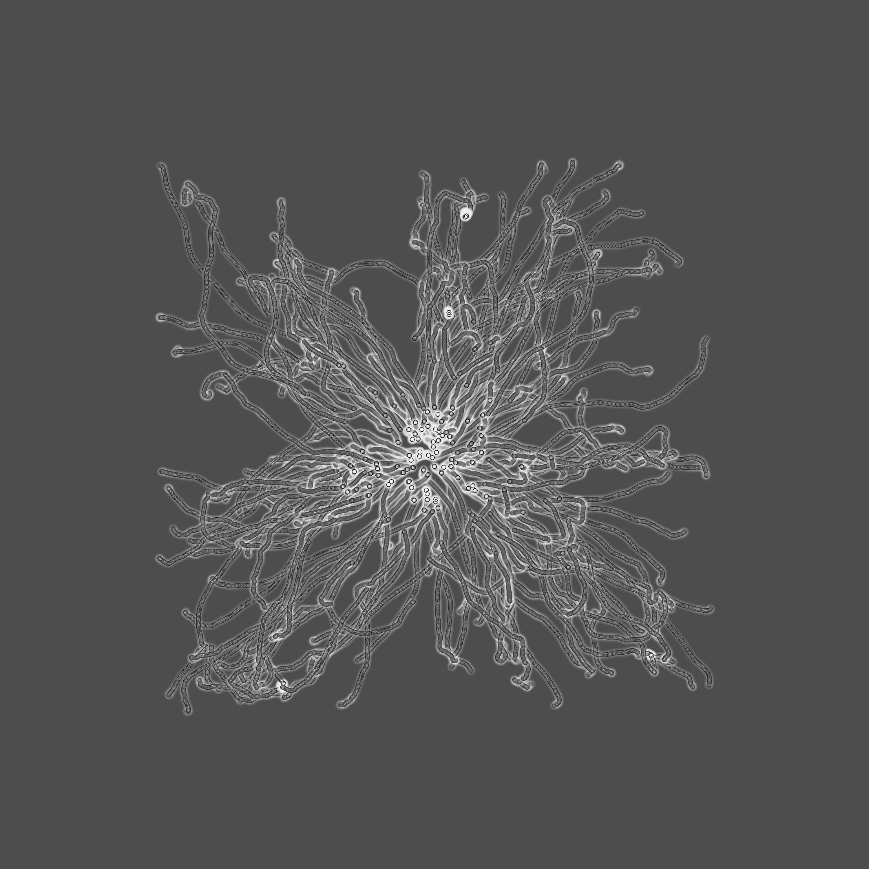 grey fungi wisdom #18 static token preview