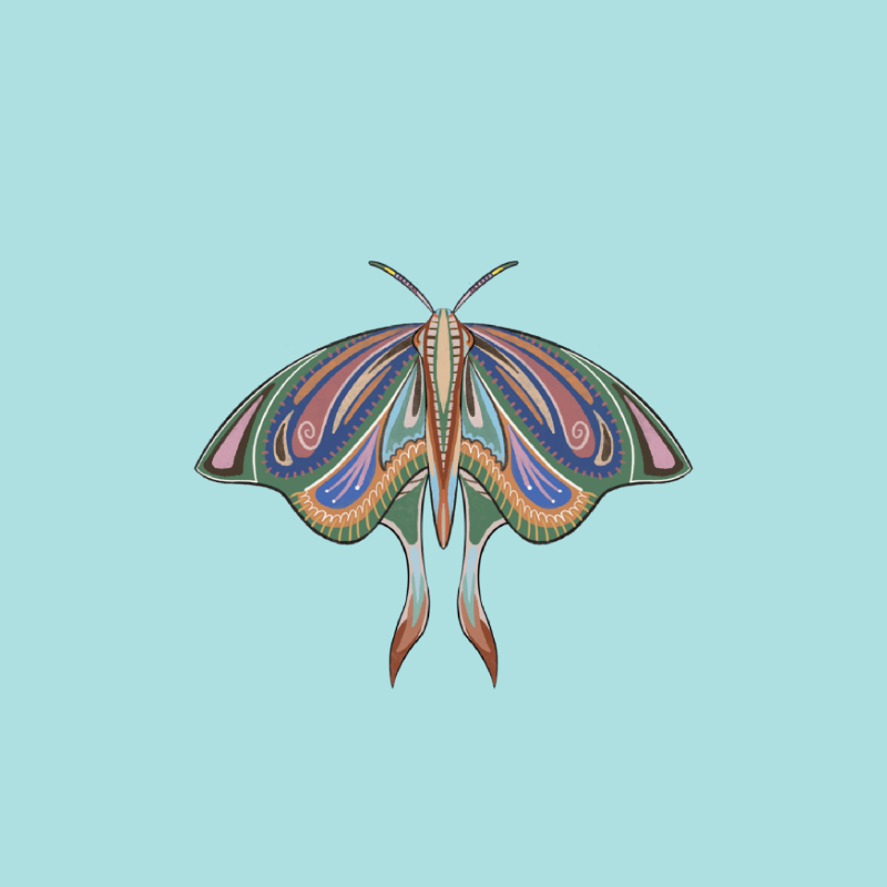 The Moth Experiment 2.0 P2 #20 static token preview