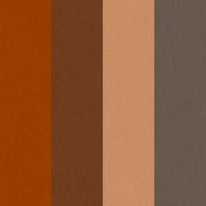 Color Theory project preview