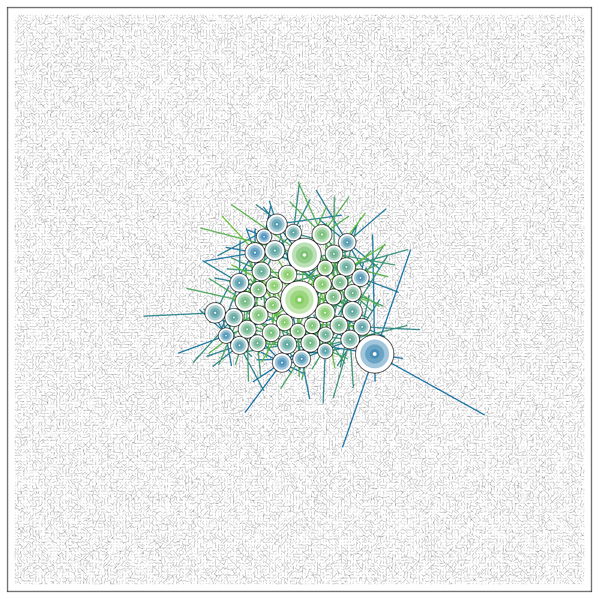 T#6Z#O #14 static token preview