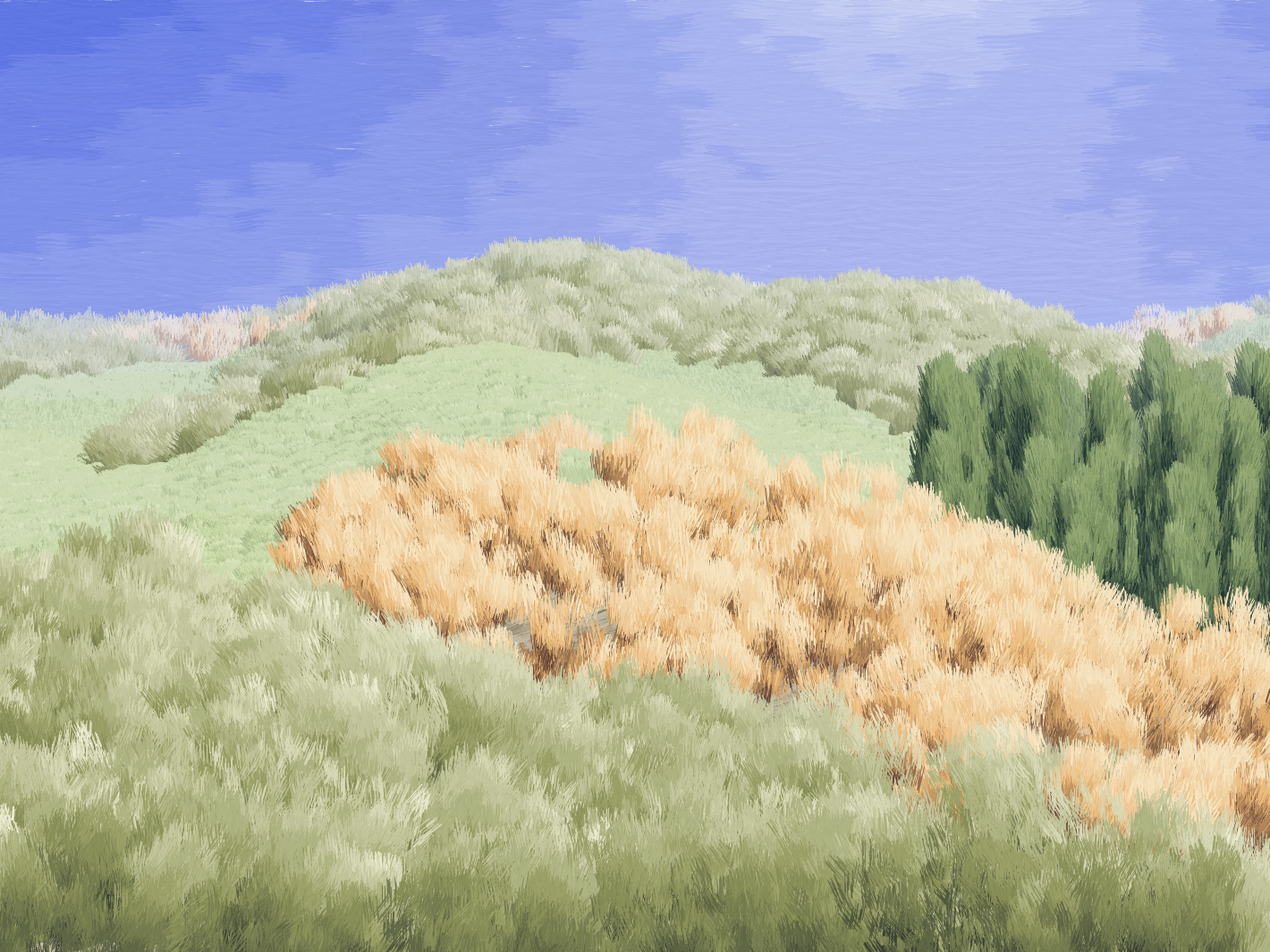 Provence #7 static token preview