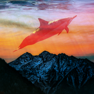 Mountain Underwater project preview