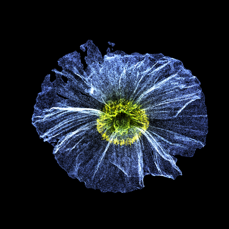 White Poppy 30 #20 static token preview