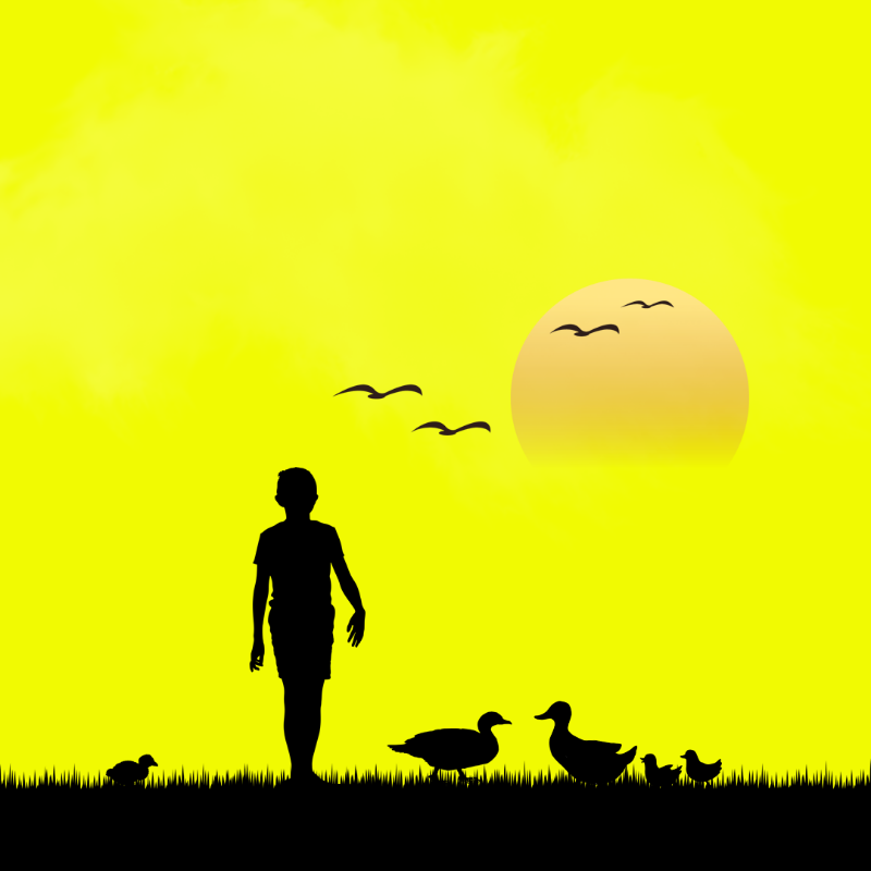 We Care...Duck #6 static token preview