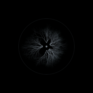 EYE project preview