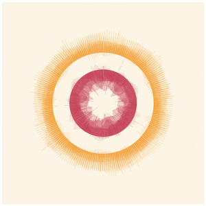 Circular Flow project preview