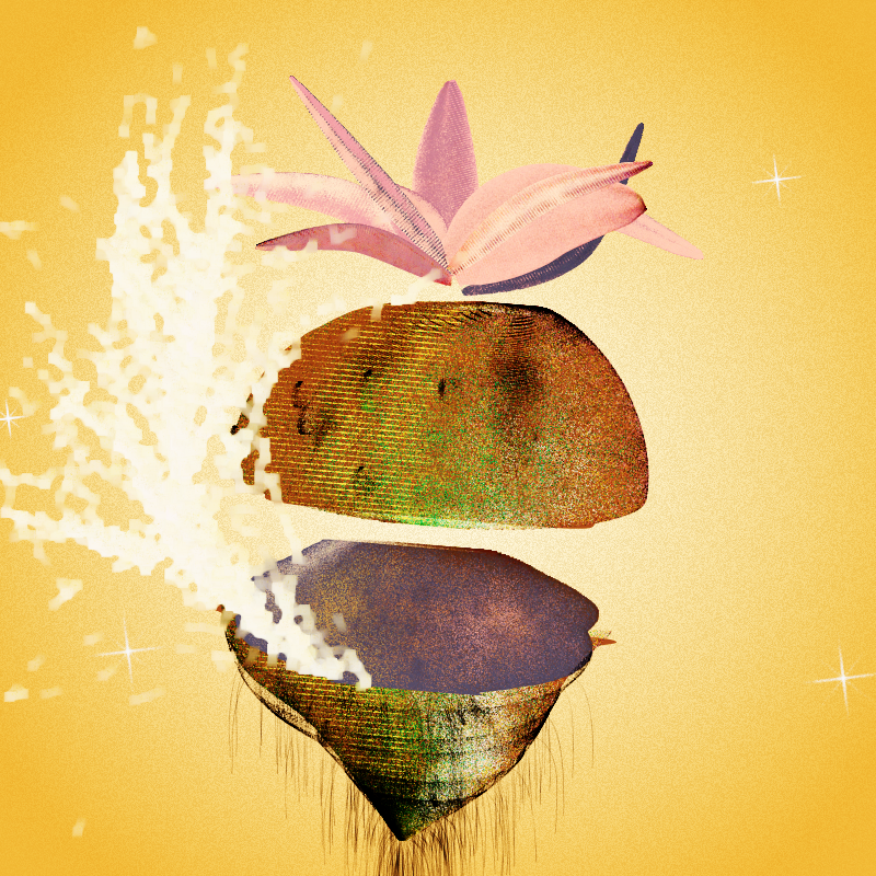 Fresh Fruit #4 static token preview