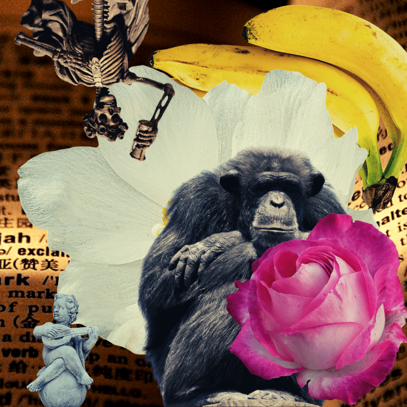 Banana flower #19 static token preview