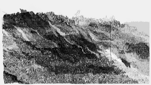 LAND project preview