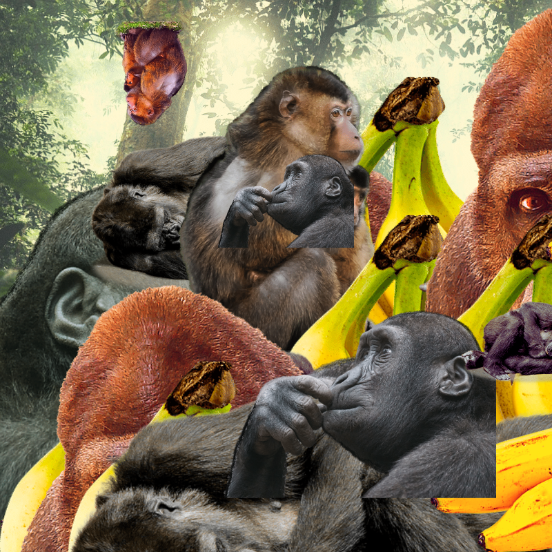 Banana #1 #14 static token preview