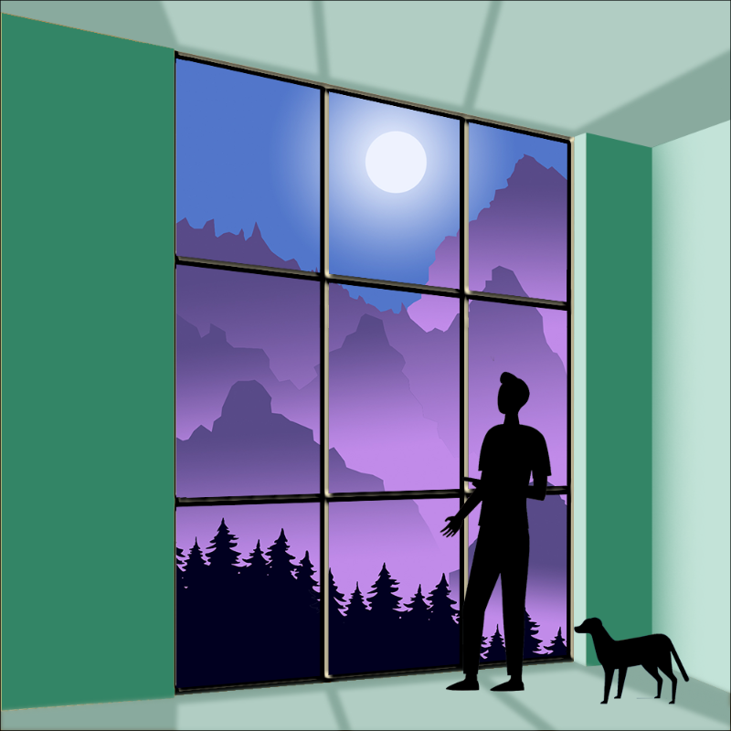 both sides of the Window #1 static token preview