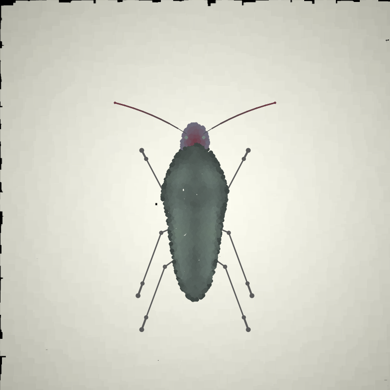 Beetle Sketches #22 static token preview