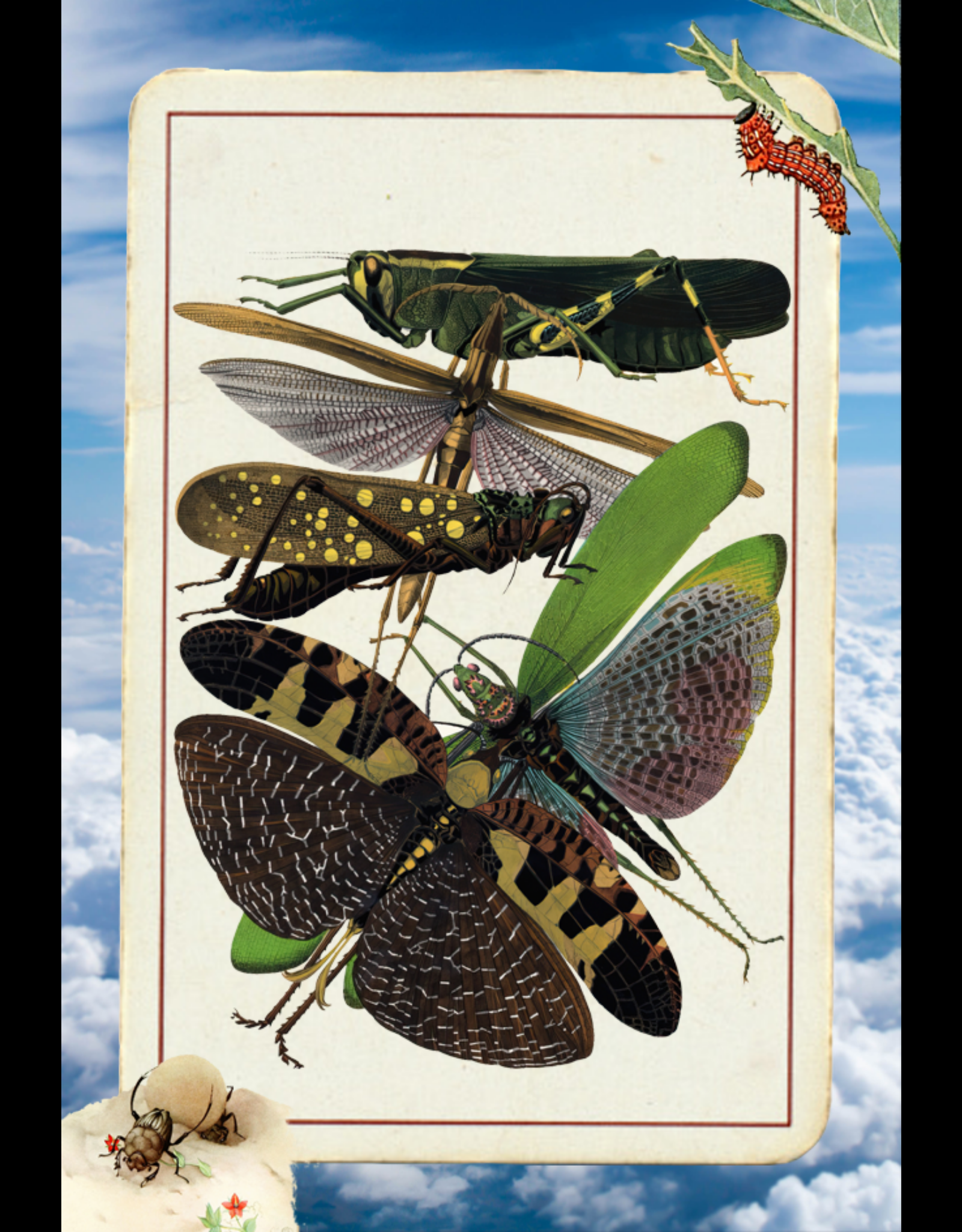Paper Bugs #4 static token preview