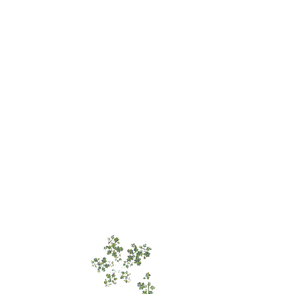 Fern Blooming #12 static token preview