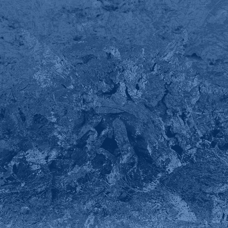 Plant remains #24 static token preview