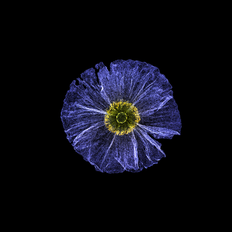 White Poppy 30 #76 static token preview