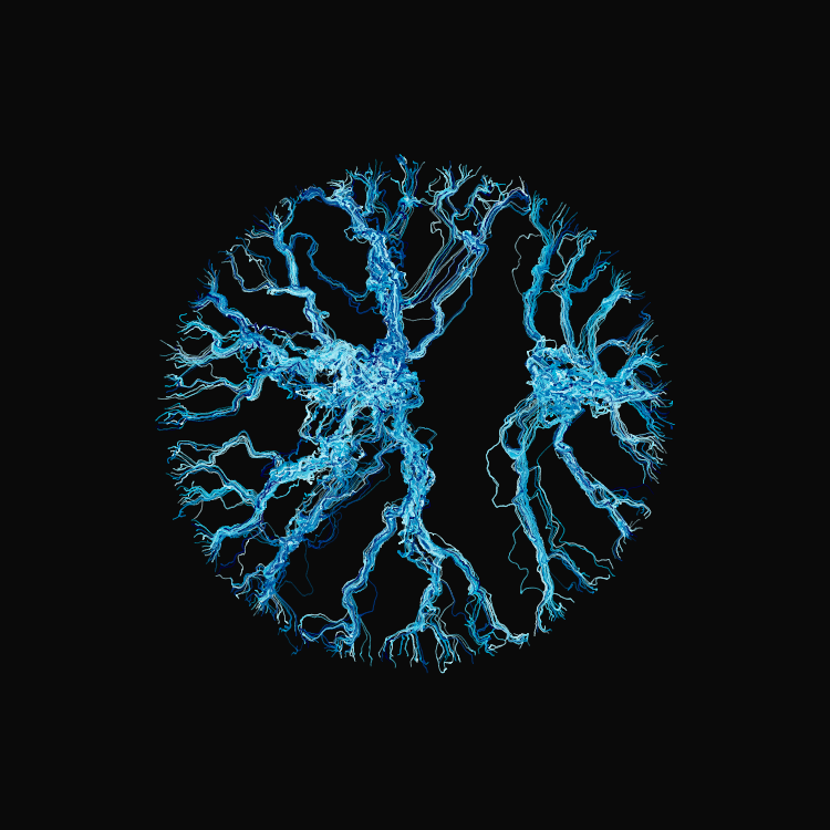 Ginseng #25 static token preview