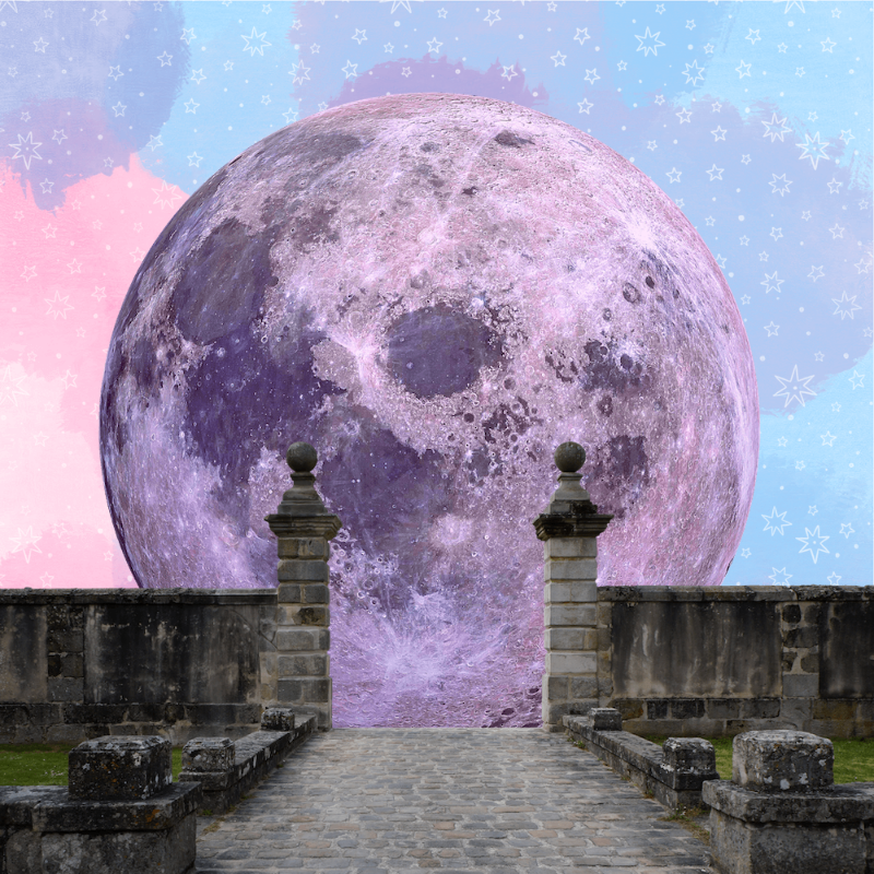 Pink Moon #19 static token preview