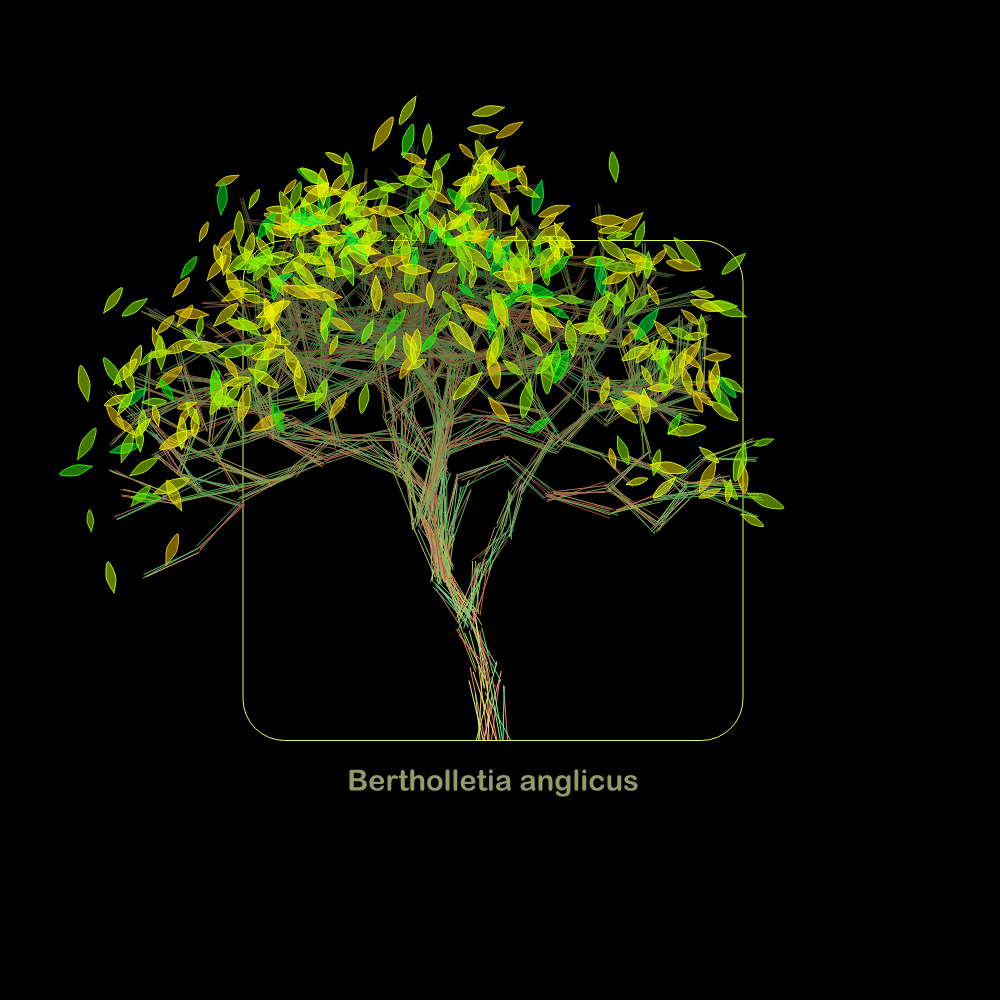 Fluidynamix - Trees #23 static token preview