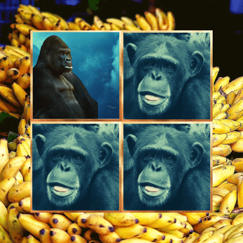 Banana legends #13 static token preview