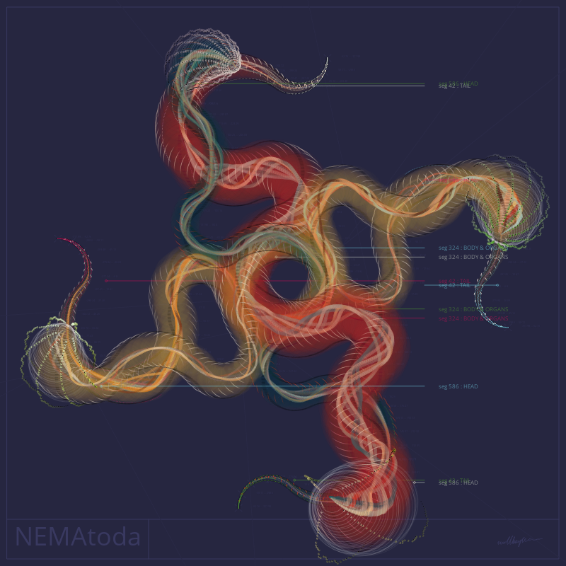 NEMA #9 static token preview