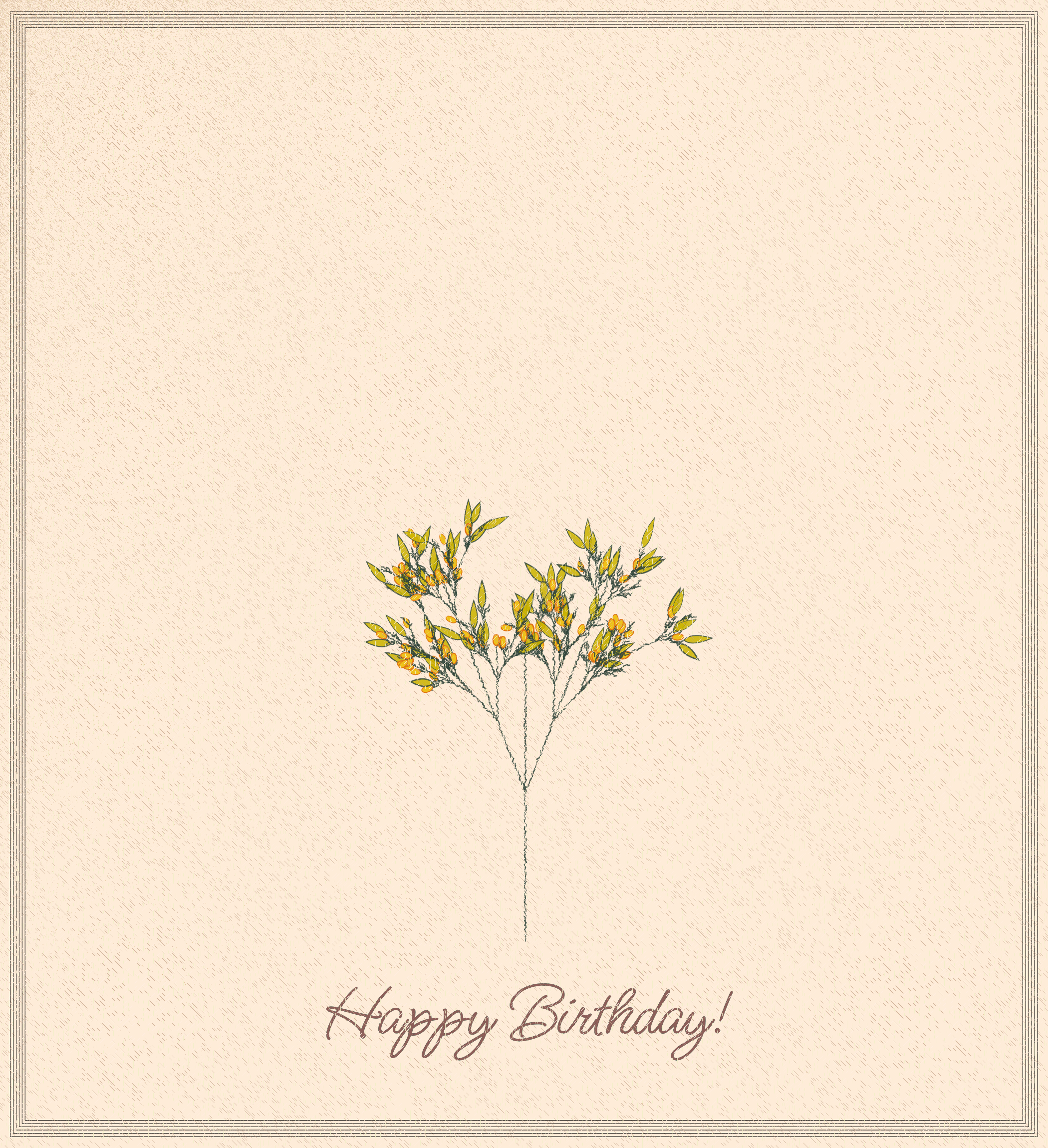 birthday cards #23 static token preview
