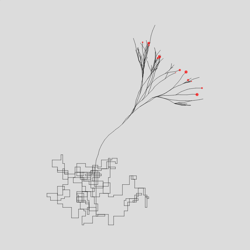 Algorithmic Tree #14 static token preview