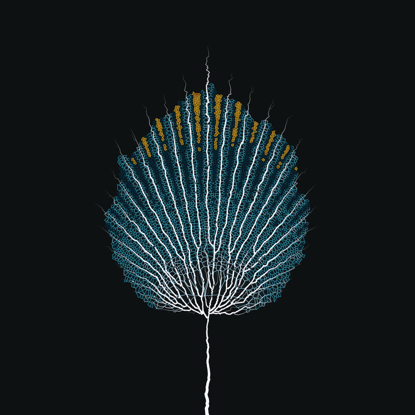 Leaf study #4 static token preview