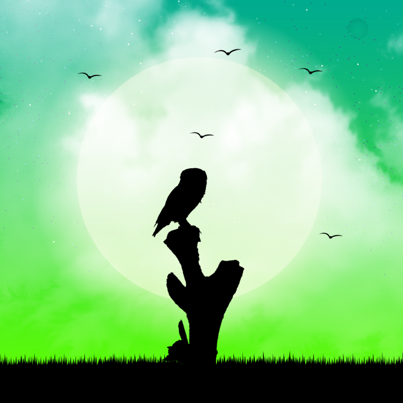 We Care...Owl #5 static token preview